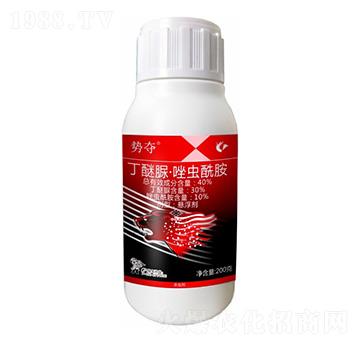40%塤x-݊Z-¡