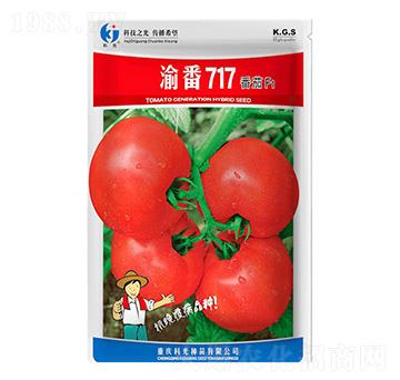 巬717-ƹN