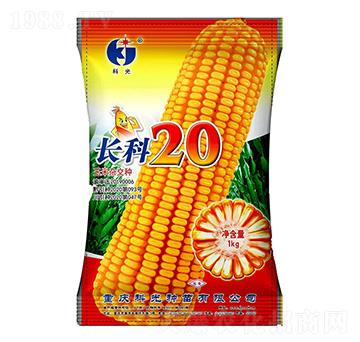 L20-ƹN
