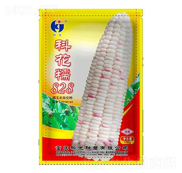 ƻŴ828-ƹN