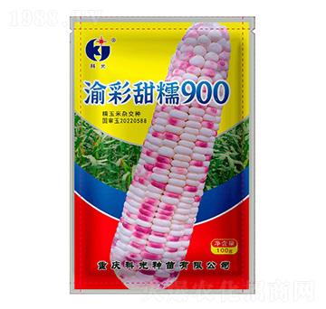 Ŵ900-ƹN