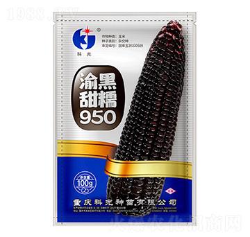 Ŵ950-ƹN