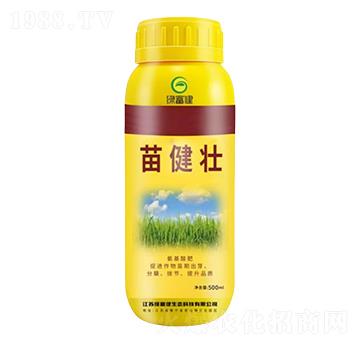 罡-G