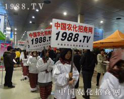 1988.TV(zhn)(hu)(chng)o(w)ֹ