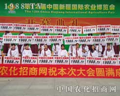 oԳֵ׵1988.TVđ(zhn)ʿ