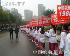 2013(j)ֲ(hu)ڡС(yng)Ĺâ