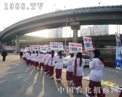 2013շprW(wng)(zhn)ʮ