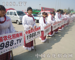 1988.TV2013ʝrϳMl(f)