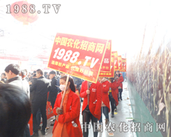 1988.TV2015IN(hu)ֱǰ