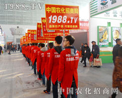1988.TVˆTwP