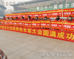 2015INI(y)וr(nng)W(wng)鰺P