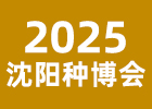 2005ꖷN(hu)