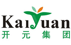 _(ki)Ԫ
