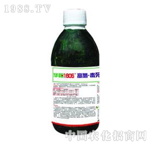 A(yng)-1605