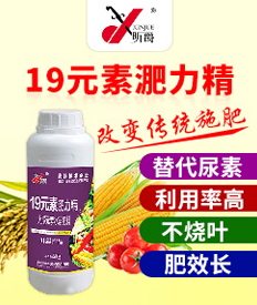 昕爵集團(tuán)